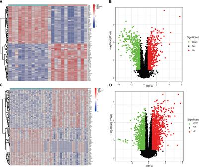 Exploring the potential relationship between frozen shoulder and Dupuytren’s disease through bioinformatics analysis and machine learning